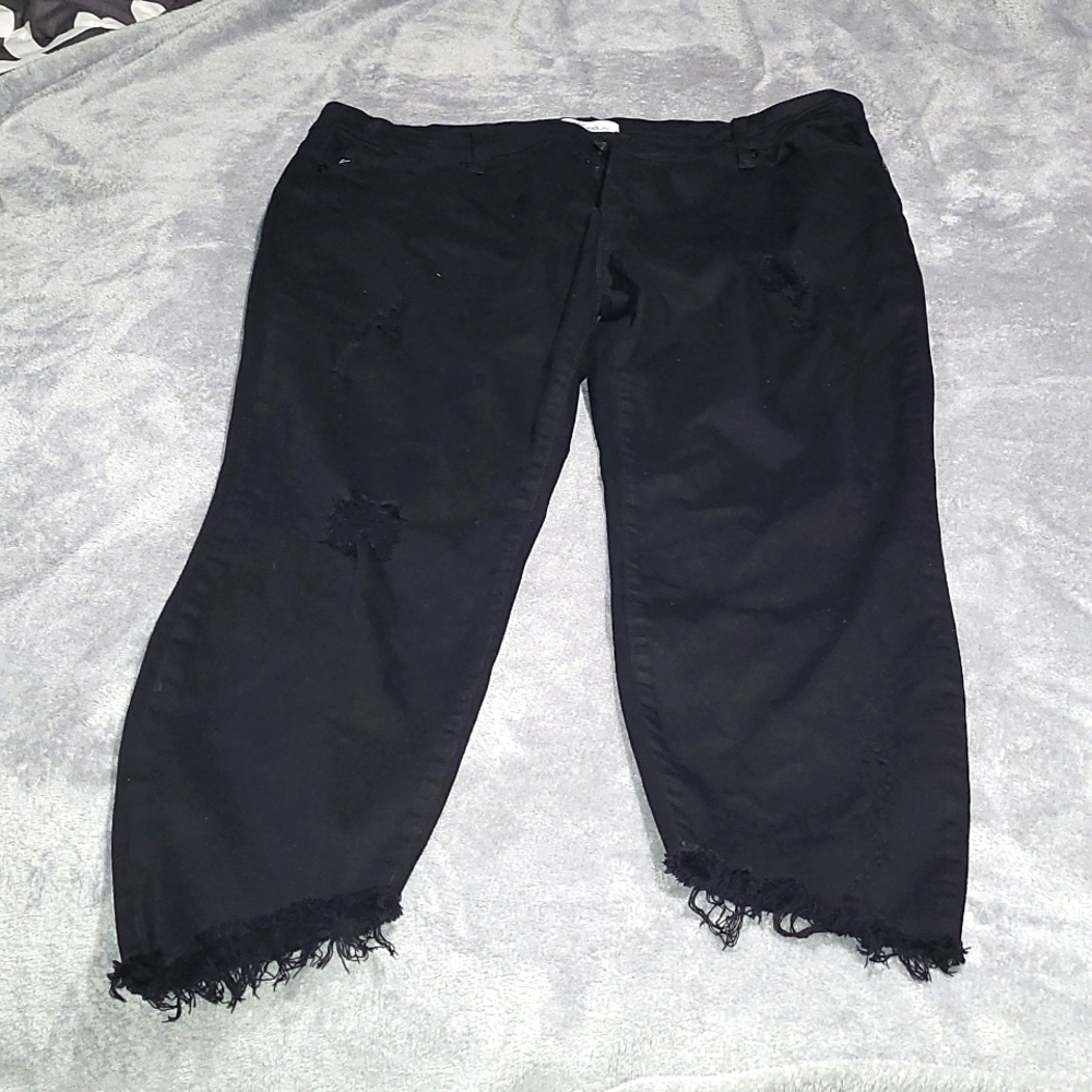 Jean Capri - Picture 3 of 9